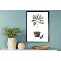Venture Home - Plakat Olive - Hvid - Posters - - Homeroom