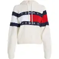 Tommy Hilfiger Dw0dw20250 Hættetrøje
