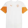 Puma Manchester City Fc 23/24 Træning T-shirt Med Korte ærmer