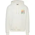 Tommy Hilfiger Color Signature Relaxed Fit Hættetrøje