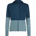 Icebreaker Merino 200 Realfleece Descender Sweatshirt Med Lynlås