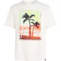 O'Neill Jack Neon T-shirt Med Korte ærmer