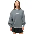 Superdry Micro Logo Graphic Pluse Size Sweatshirt