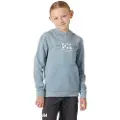 Helly Hansen Graphic Jr Hættetrøje