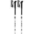 LEKI Skysolo Fx.one Carbon Spadserestokke