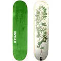 Plan B Bloom Mcclung 8.0´´x31.33´´ Skateboarddæk