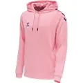 Hummel Core Xk Poly Hættetrøje