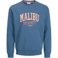 Jack & Jones Detroit Sweatshirt
