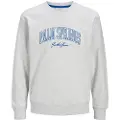 Jack & Jones Detroit Sweatshirt