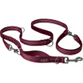 Company of animals Halti Anatomy Dog Hundesnor