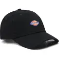Dickies 6 Panel Logo Kasket