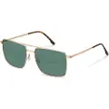 Rodenstock R1448 Navigator Solbriller