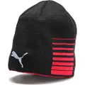 Puma Liga Reversible Beanie