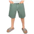 Iriedaily Nanolo Shorts grøn