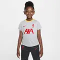 Nike Kortærmet Liverpool FC Academy Pro Third Nike Dri-FIT-fodboldtrøje til mindre børn - grå