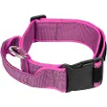 JULIUS K-9 Collar 50 Mm Hundehalsbånd