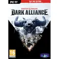 Pc Games Pc Dungeons & Dragons Dark Alliance Day One Edition