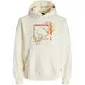 Jack & Jones Lucca Graphic Hættetrøje