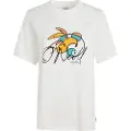 O'Neill Luano Graphic T-shirt Med Korte ærmer