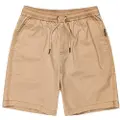 Quiksilver Taxer Shorts