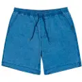 Quiksilver Taxer Ws Shorts