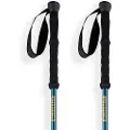 Arva Fuji 3 Parts Powerlock + Long Grip Spadserestokke
