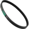 Bando 36243801 Sym Joymax 125 Drivrem
