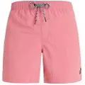 Protest Faster Badeshorts