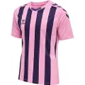 Hummel Core Xk Striped T-shirt Med Korte ærmer