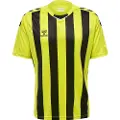 Hummel Core Xk Striped T-shirt Med Korte ærmer