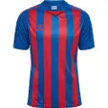 Hummel Core Xk Striped T-shirt Med Korte ærmer