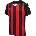 Hummel Core Xk Striped T-shirt Med Korte ærmer