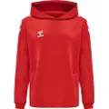 Hummel Core Xk Poly Hættetrøje
