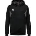 Hummel Authentic Pl Hættetrøje