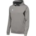 Hummel Authentic Pl Hættetrøje