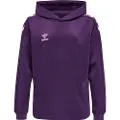 Hummel Core Xk Poly Hættetrøje