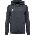 Hummel Authentic Pl Hættetrøje