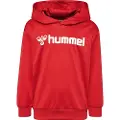 Hummel Logo Hættetrøje