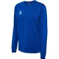 Hummel Authentic Co Training Sweatshirt