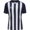 Hummel Core Xk Striped T-shirt Med Korte ærmer