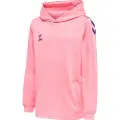 Hummel Core Xk Poly Hættetrøje