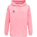 Hummel Core Xk Poly Hættetrøje