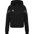 Hummel Travel Hættetrøje