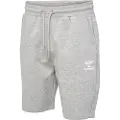 Hummel Icons Regular Shorts
