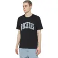 Dickies Aitkin T-shirt Med Korte ærmer