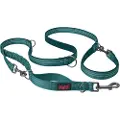Company of animals Halti Anatomy Dog Hundesnor