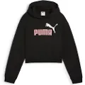 Puma Ess 2 Color Nº1 Logo Hættetrøje