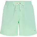 O'Neill Vert 16´´ Badeshorts