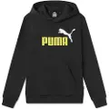 Puma Ess+ 2 Col Big Logo Hættetrøje