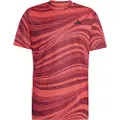 Adidas Club Graphic T-shirt Med Korte ærmer